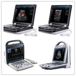 徐州凱信電子設(shè)備邀您共襄盛舉 2019第四屆江蘇畜牧業(yè)博覽會(huì)