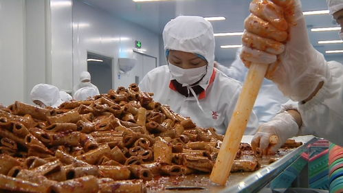 揭秘零食工廠 走進良品鋪子荊州生產基地，見證美味誕生之旅